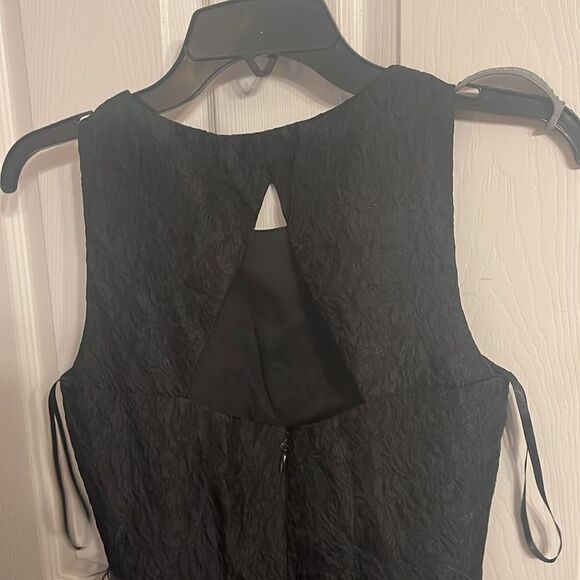 BCBG  MaxAzria  Delphine Dress EUC Size 0 - Picture 4 of 8